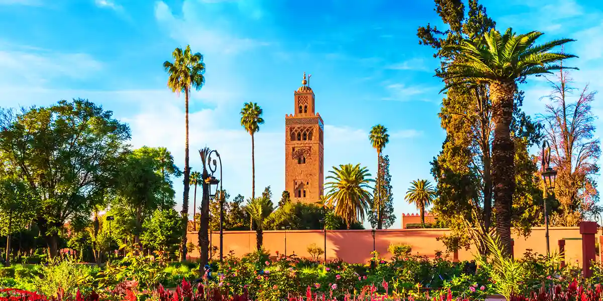 Luxury Palm Grove Retreat at Pickalbatros Marrakech